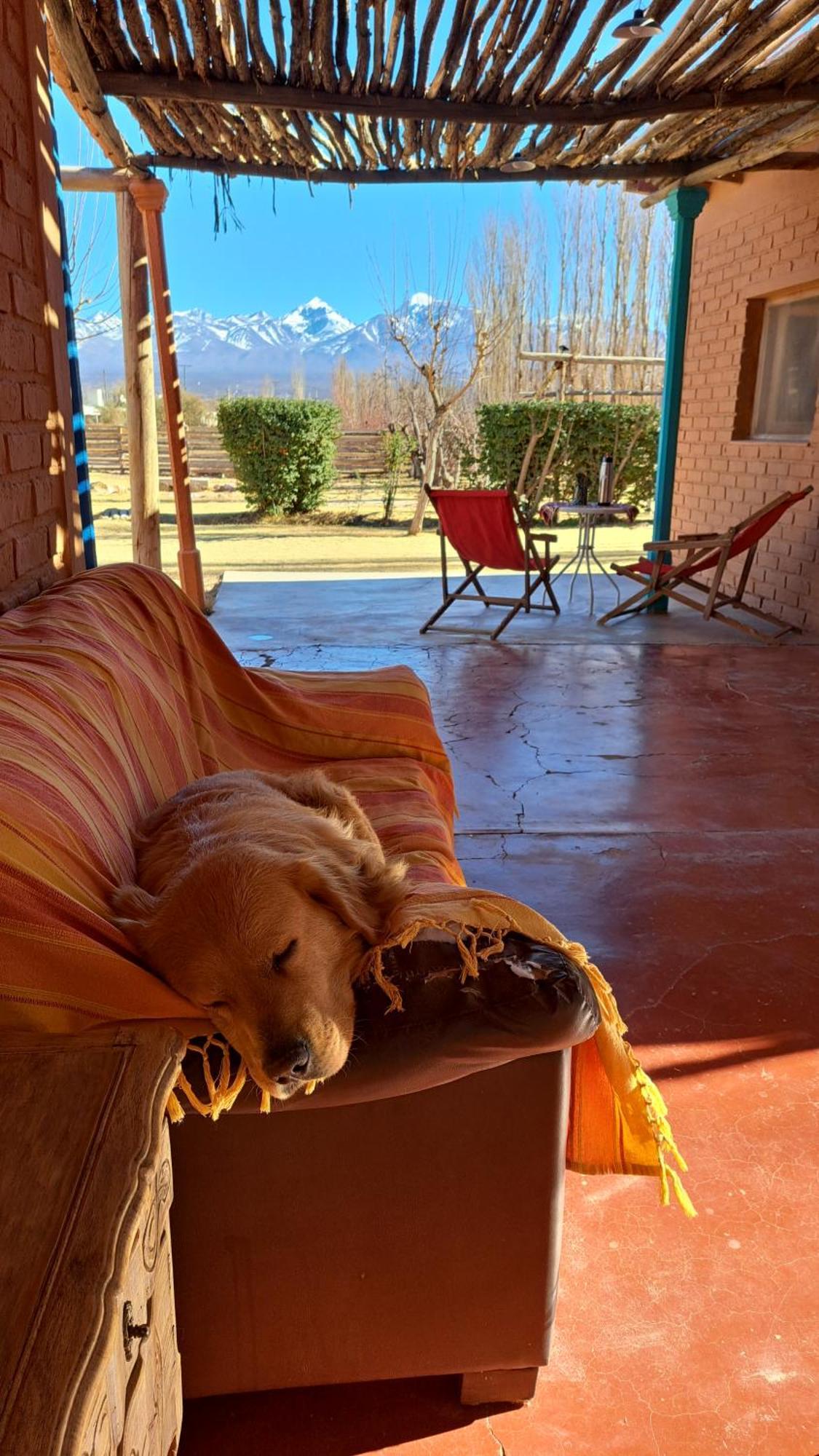 Aire De Barreal Hostel Andino Exterior photo